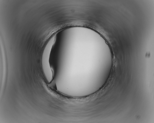 X0000089910013200707271724