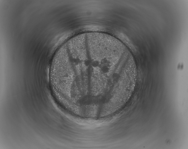 X0000089910014200707271724