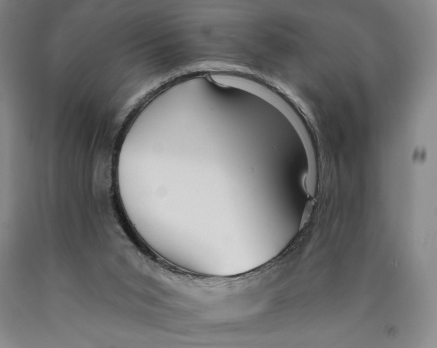 X0000089910015200707271724