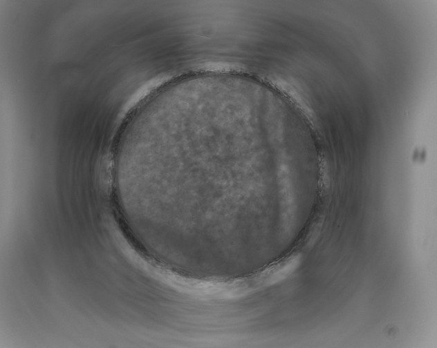 X0000089910016200707271724