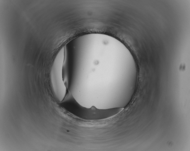 X0000089910017200707271724