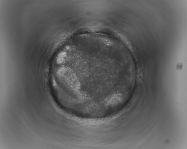 X0000089910018200707271724