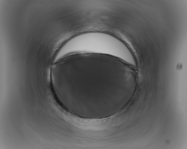 X0000089910019200707271724