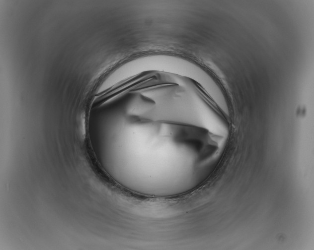 X0000089910020200707271724