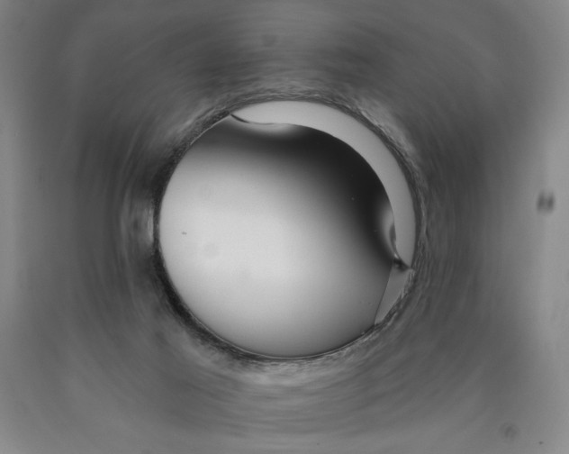 X0000089910021200707271724