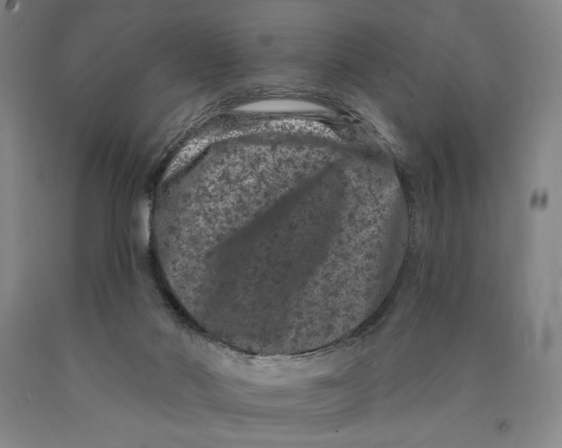 X0000089910022200707271724