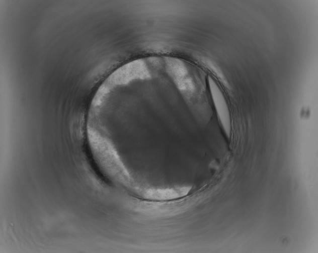 X0000089910023200707271724