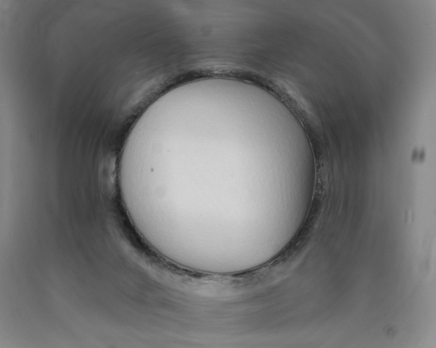 X0000089910024200707271724