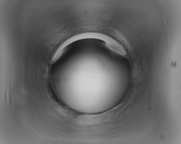 X0000089910025200707271724