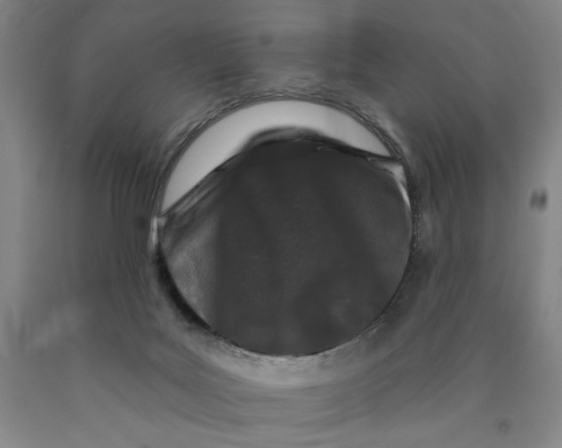 X0000089910027200707271724