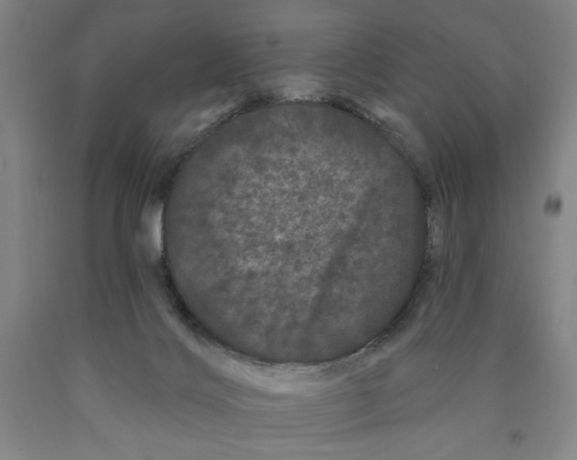 X0000089910028200707271724