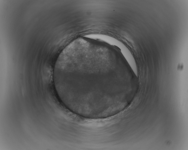 X0000089910029200707271724