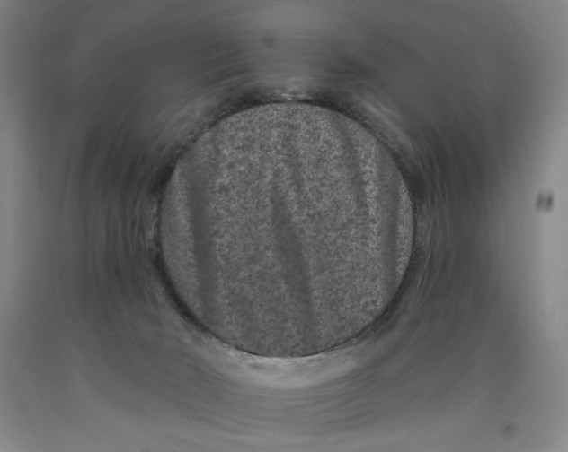 X0000089910030200707271724