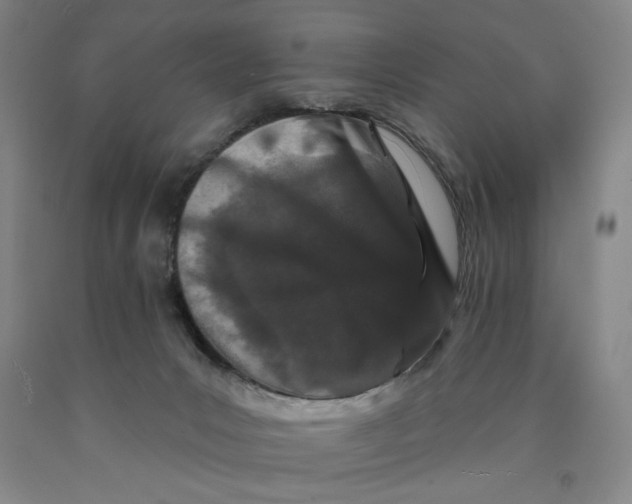 X0000089910031200707271724