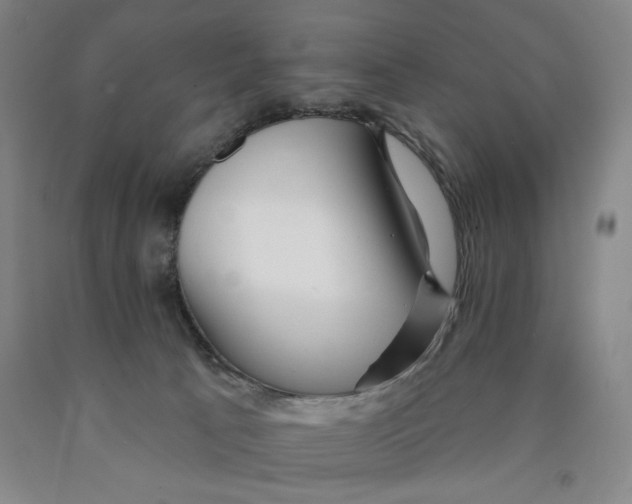 X0000089910033200707271724