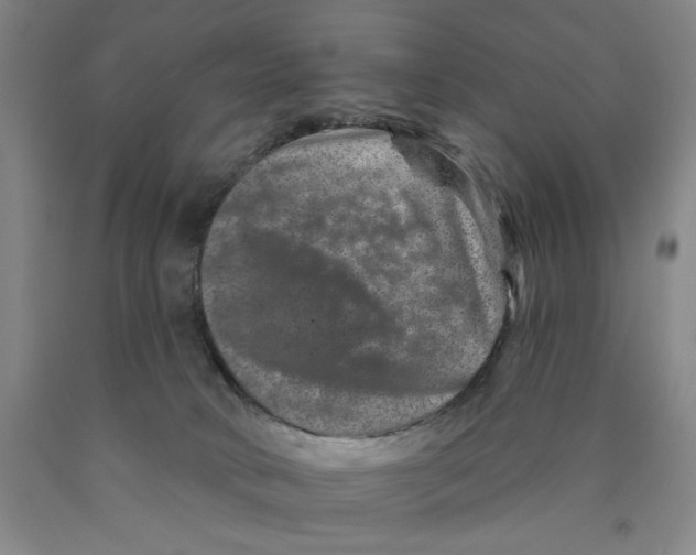 X0000089910034200707271724