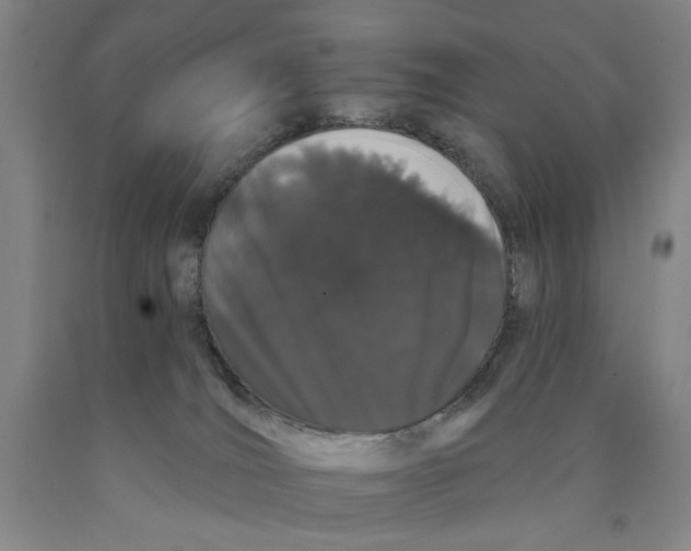 X0000089910036200707271724