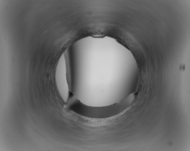 X0000089910037200707271724