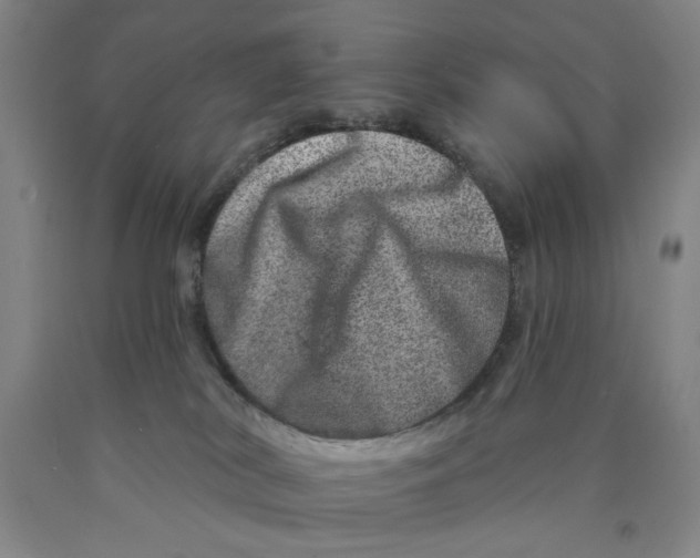 X0000089910038200707271724