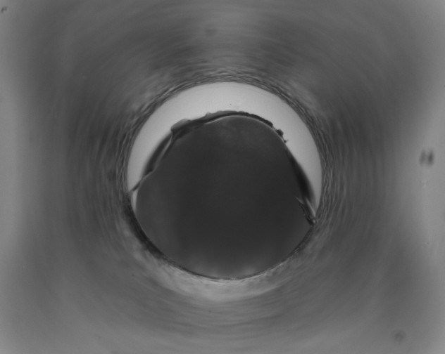 X0000089910039200707271724