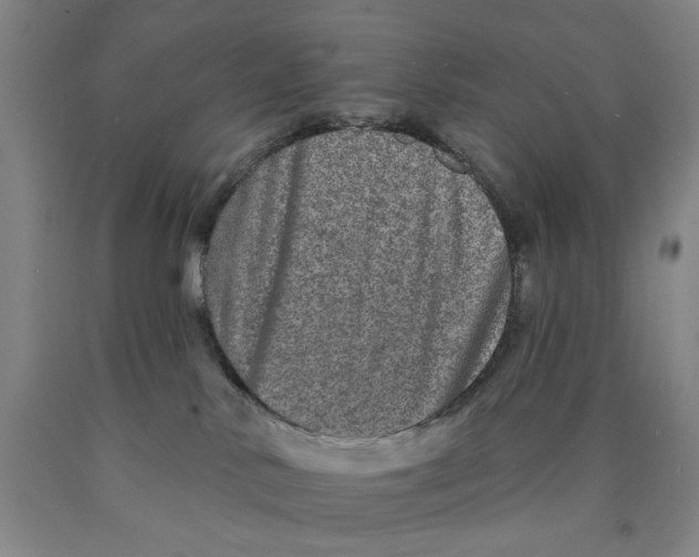 X0000089910042200707271724