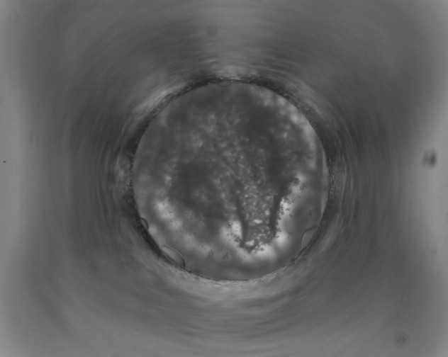 X0000089910043200707271724