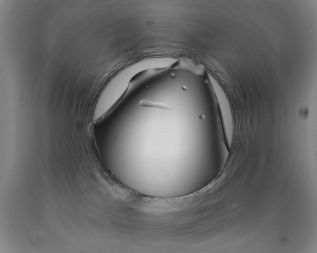 X0000089910045200707271724