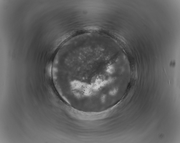 X0000089910047200707271724