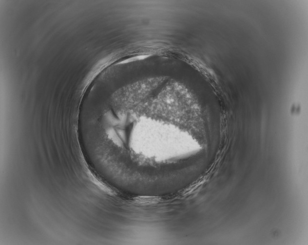 X0000089910051200707271723