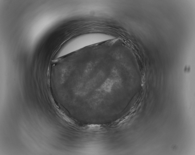 X0000089910052200707271723