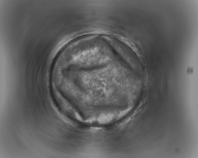 X0000089910055200707271723