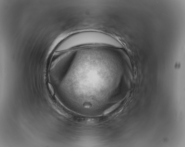 X0000089910056200707271723