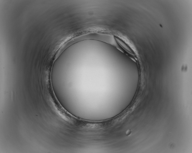 X0000089910057200707271723