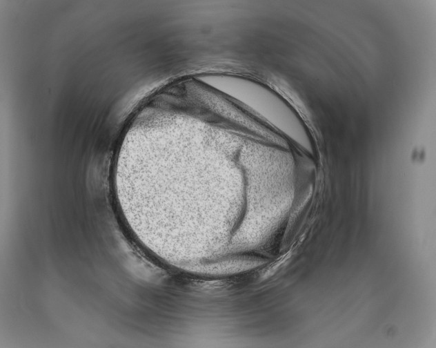 X0000089910058200707271723