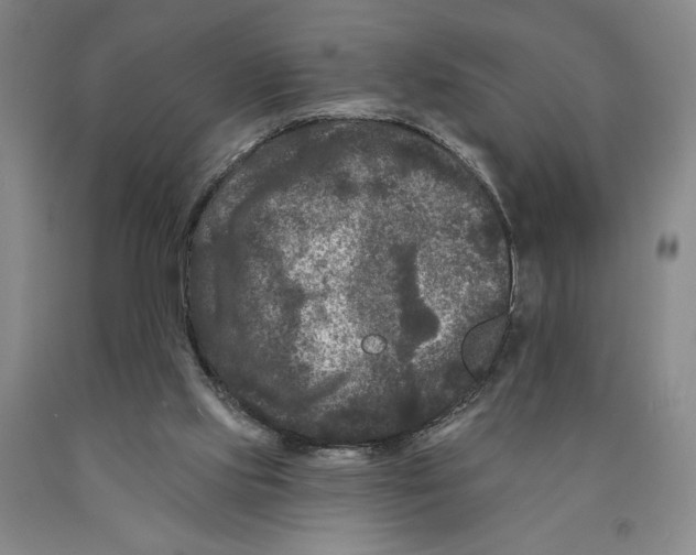 X0000089910061200707271723