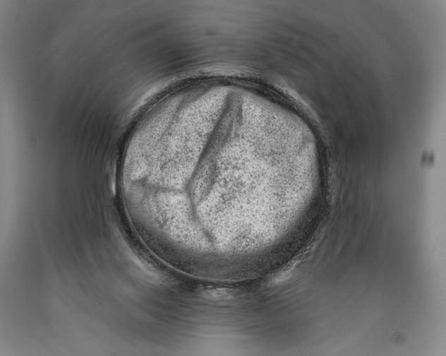 X0000089910062200707271723