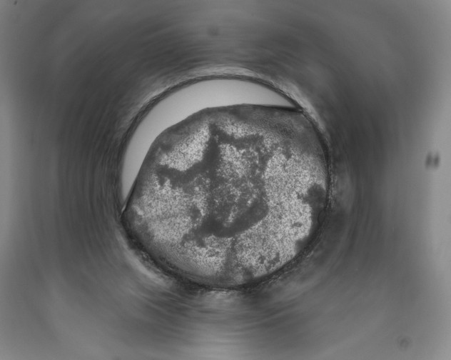 X0000089910063200707271723