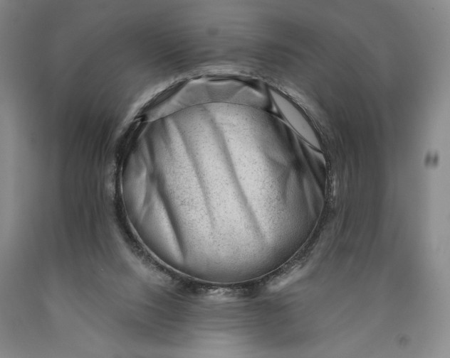 X0000089910064200707271723