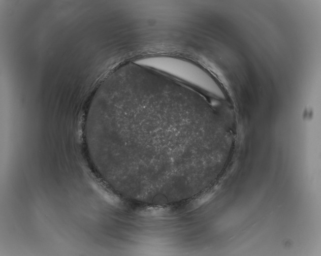 X0000089910065200707271723