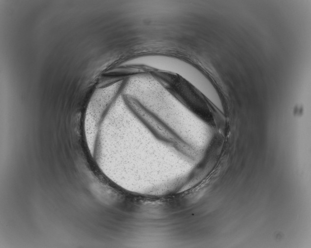 X0000089910066200707271723