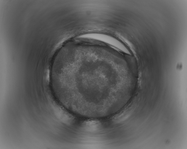 X0000089910067200707271723