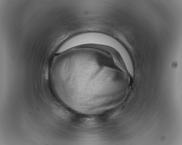 X0000089910068200707271723