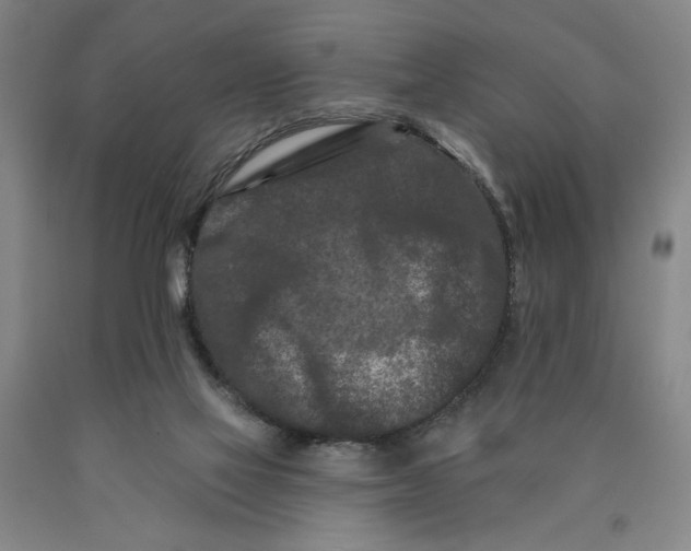 X0000089910069200707271723