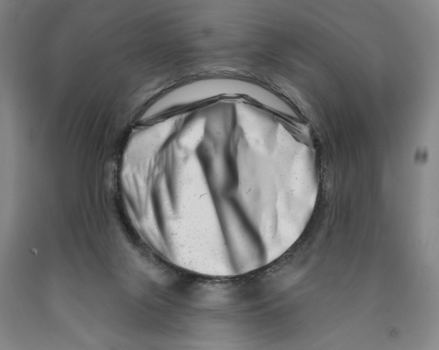 X0000089910071200707271723