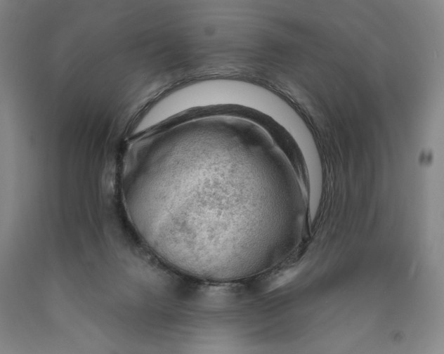 X0000089910072200707271723