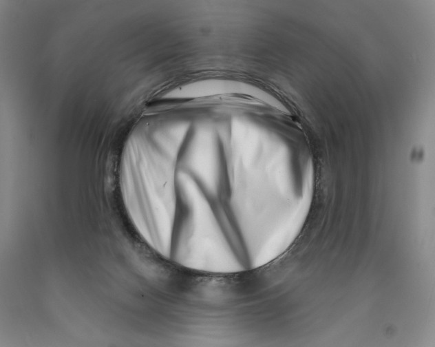 X0000089910074200707271723