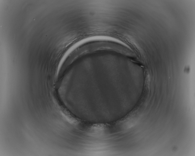 X0000089910076200707271723