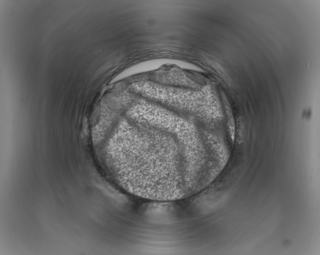 X0000089910077200707271723