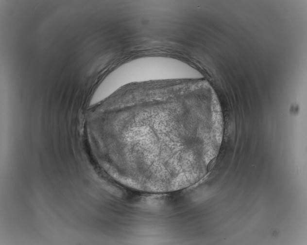 X0000089910078200707271723