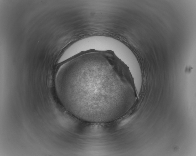 X0000089910080200707271723